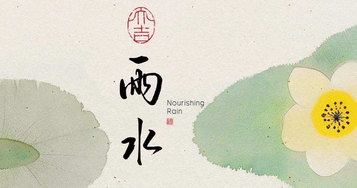 雨水节气科普图