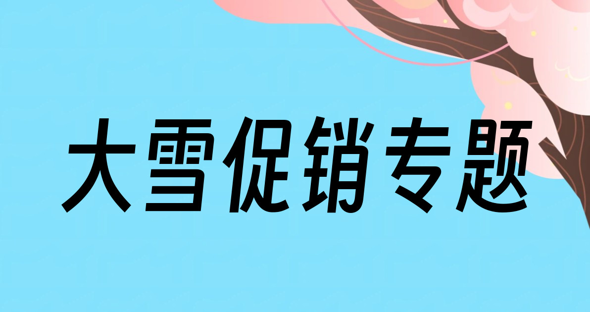 大雪促销专题