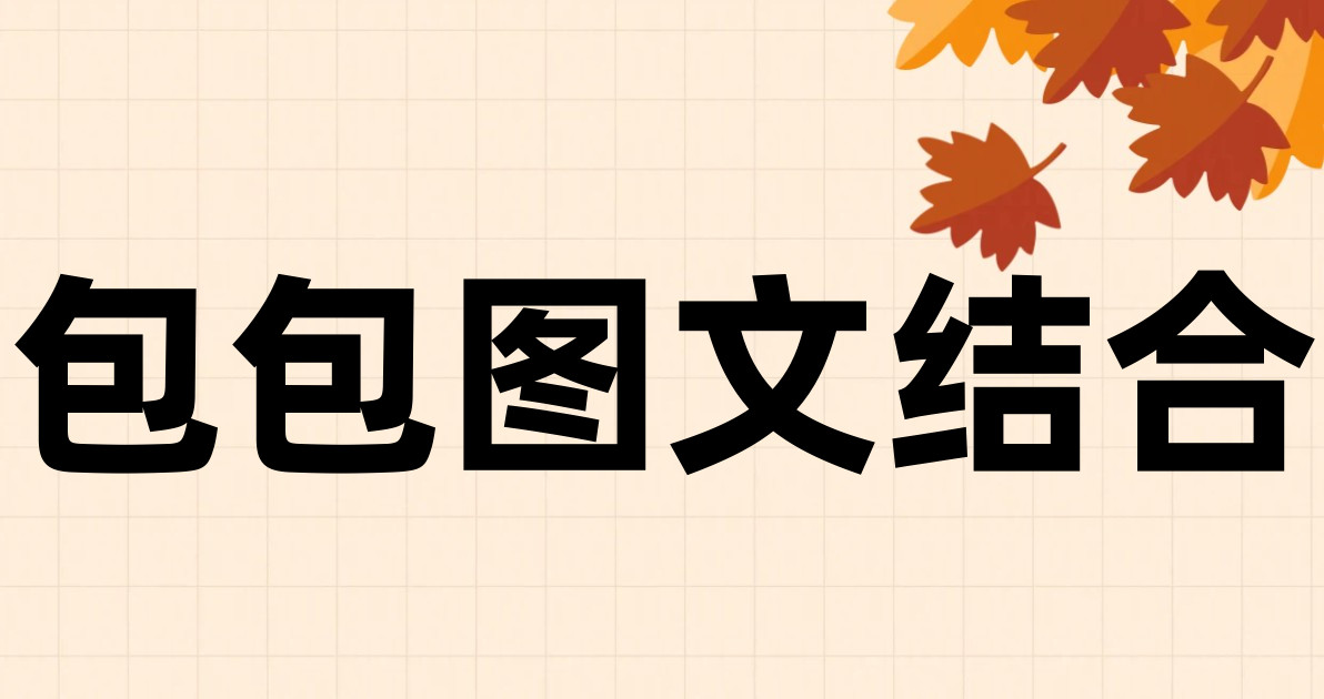 包包图文结合