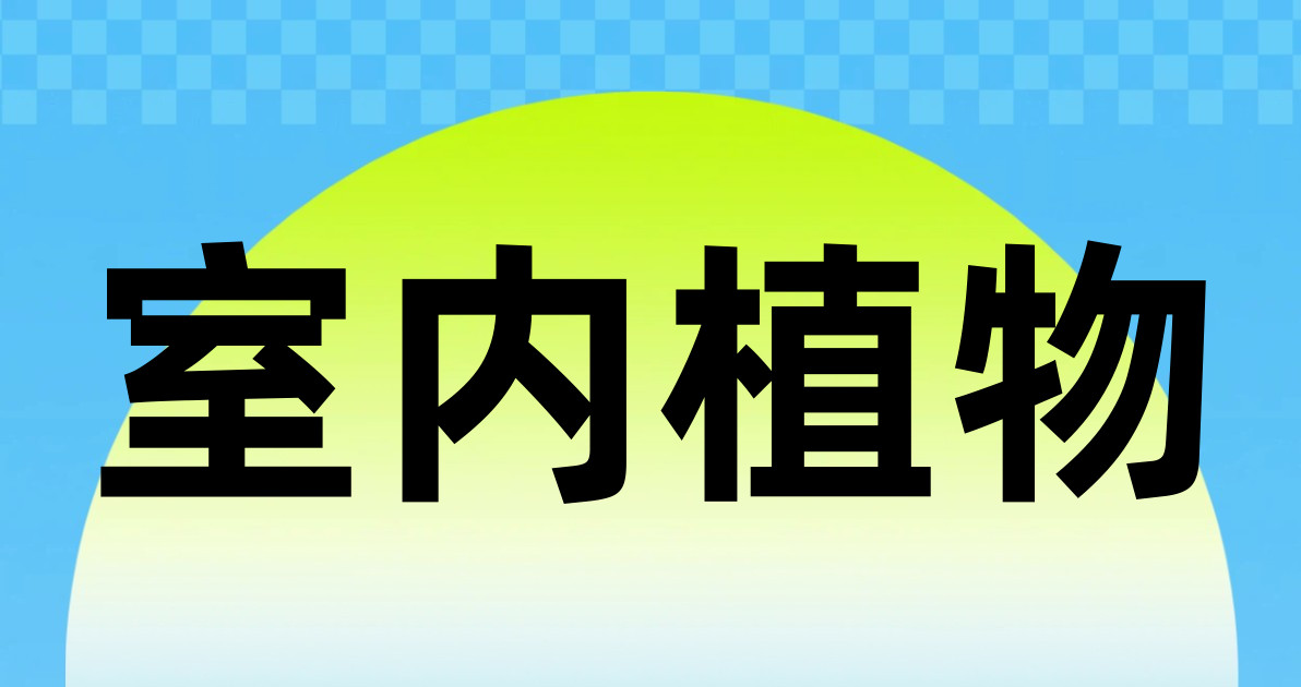 室内植物