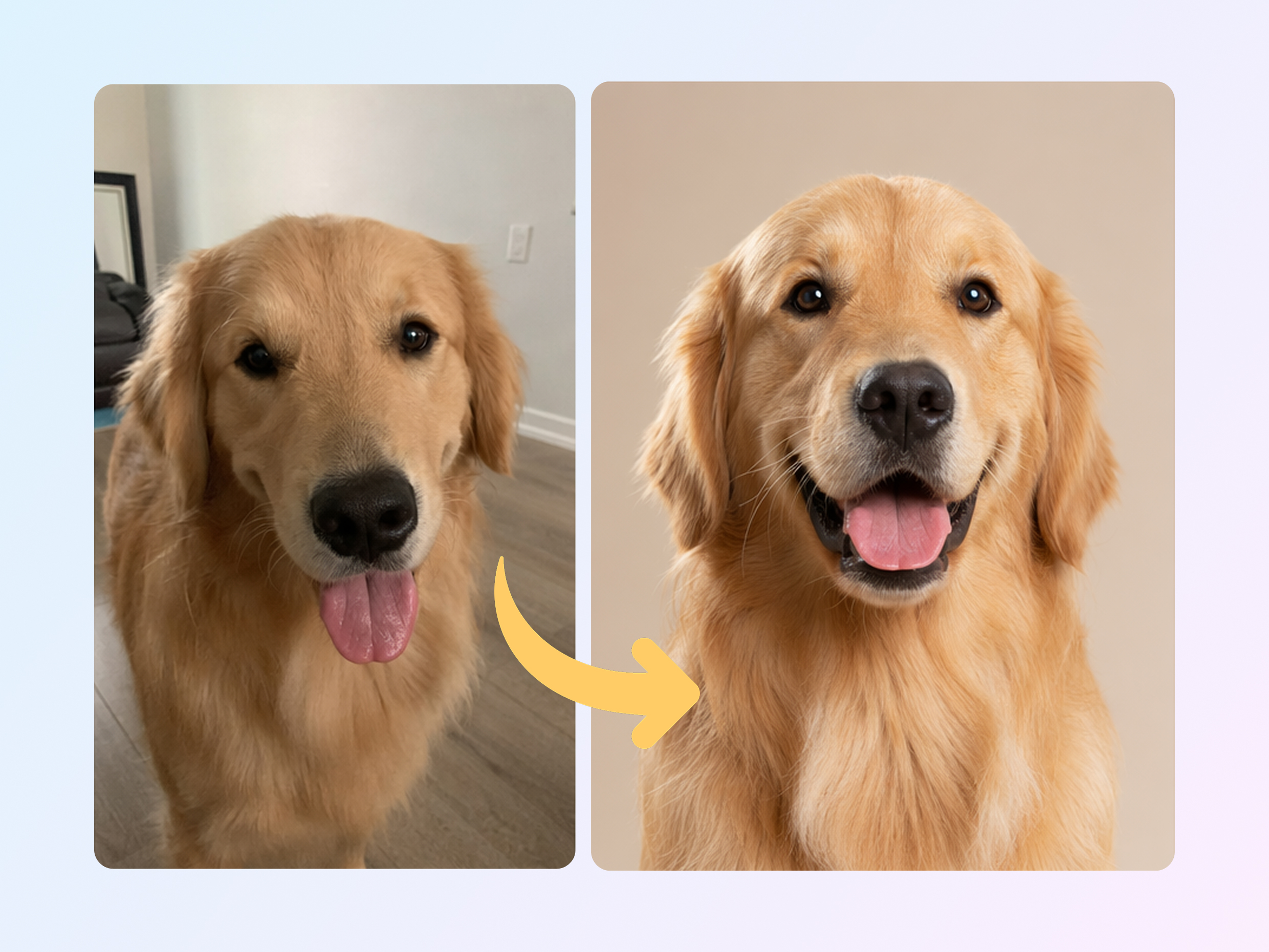 Turn Pet Photos Into Studio Portraits