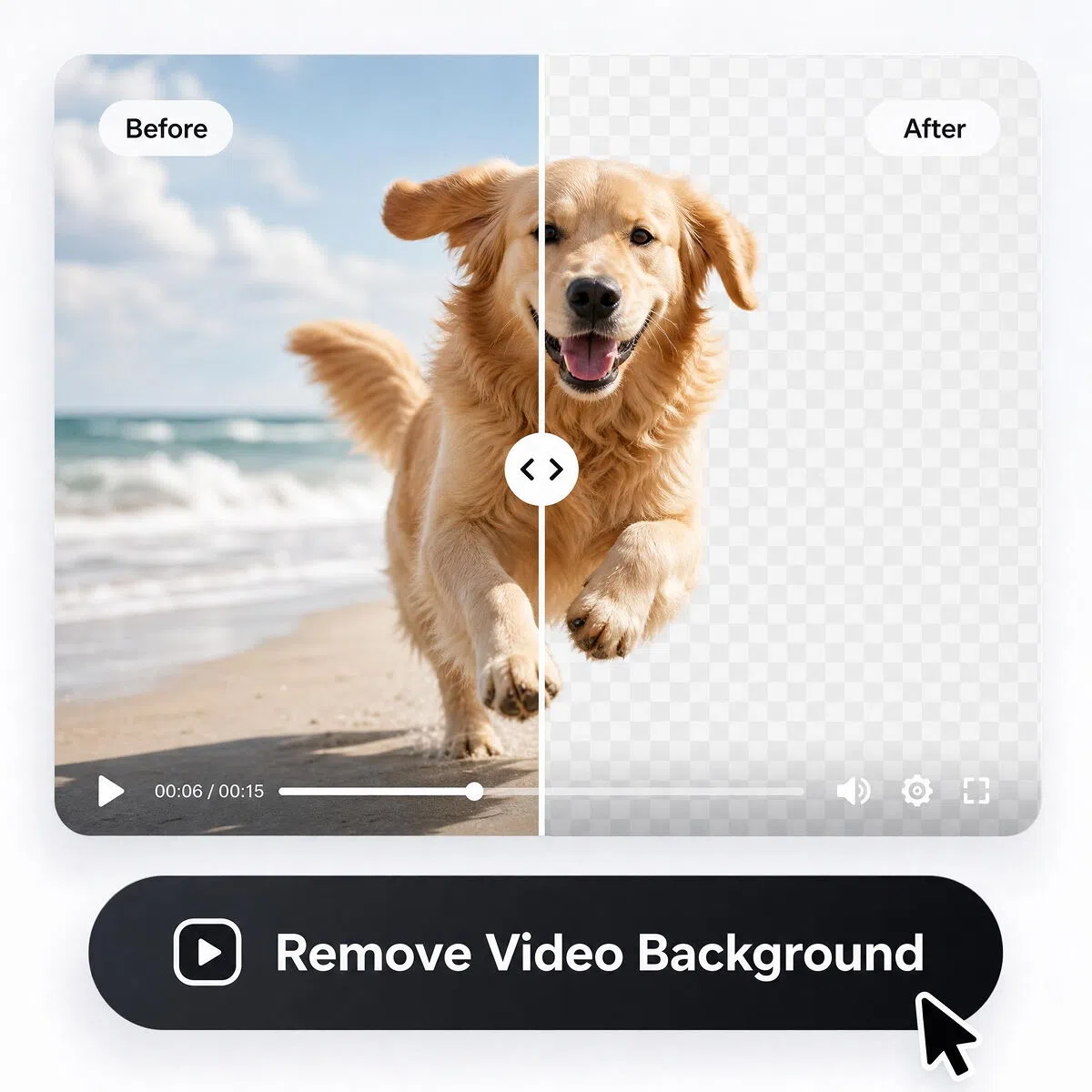 Remove background from pet video