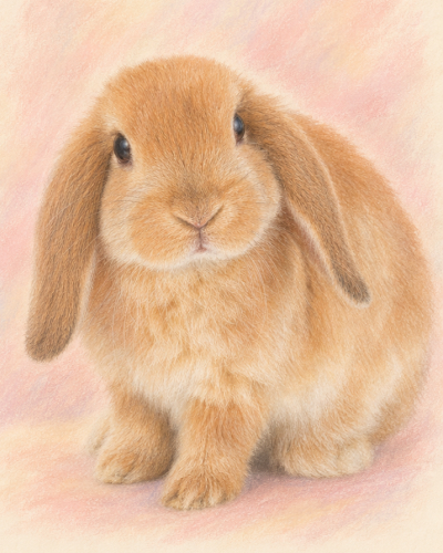 AI Generated rabbit portratit
