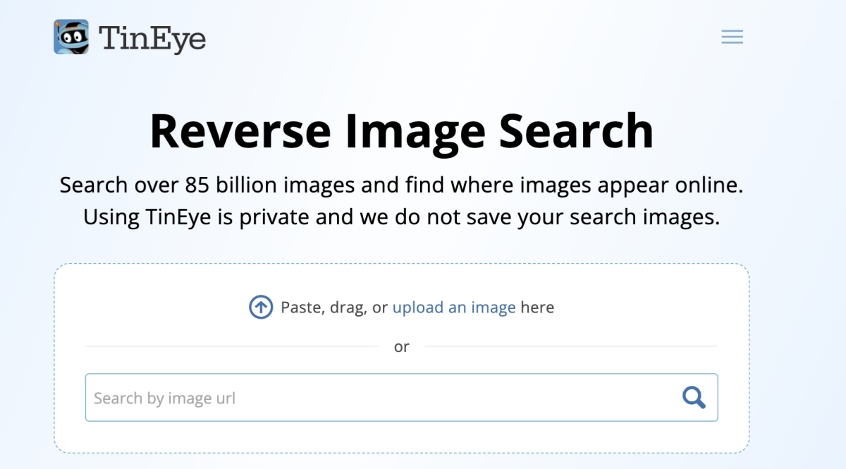 TinEye Reverse Image search