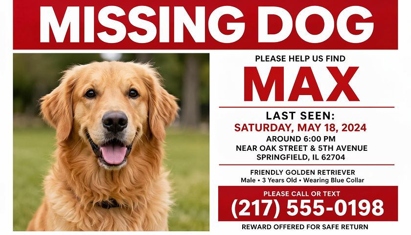 Lost Dog Poster