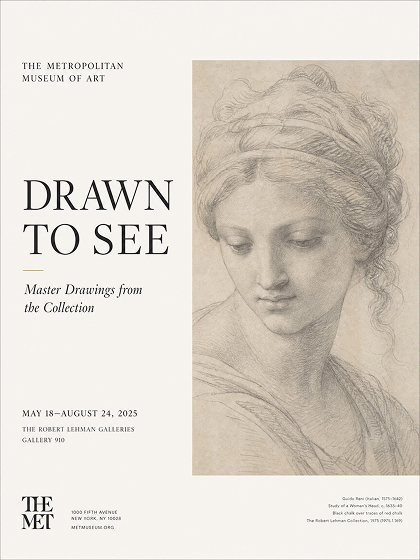 AI Generated Museum Poster