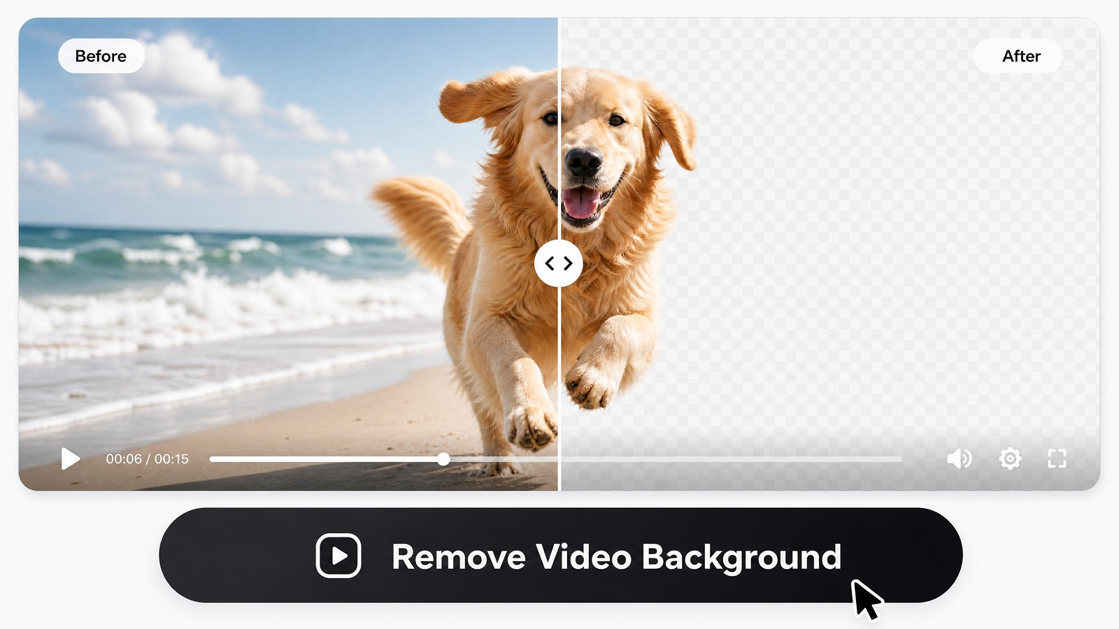 Remover fundo de vídeo de pet