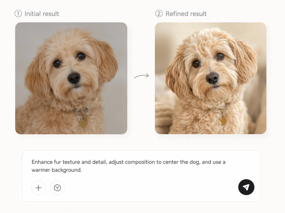 Refine the Version You Prefer