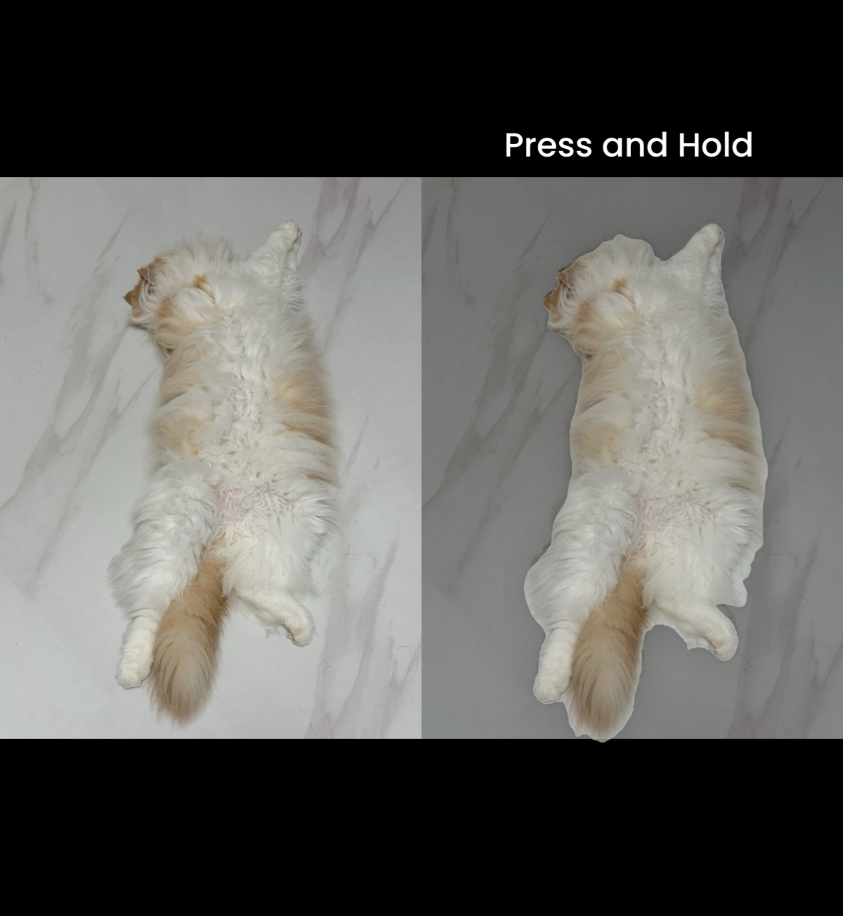 Remove Background from the Photos App