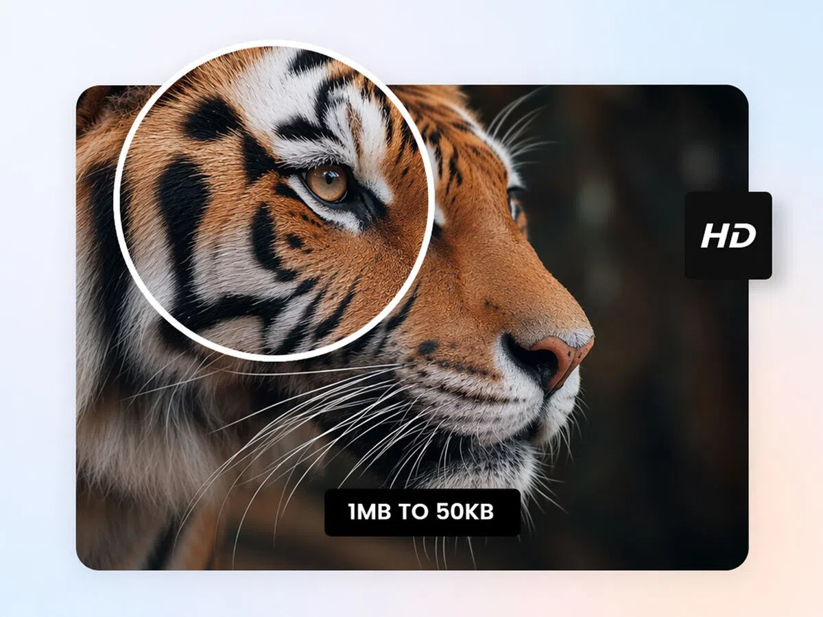 Keep Text and Product Details Readable