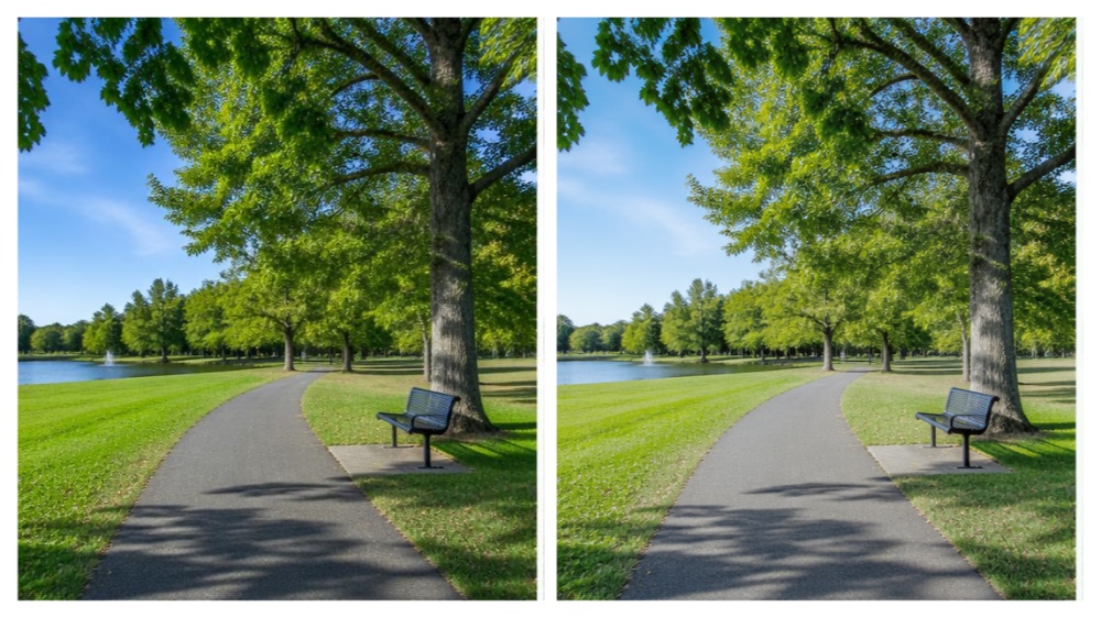 Comparison photos of the park taken during the day