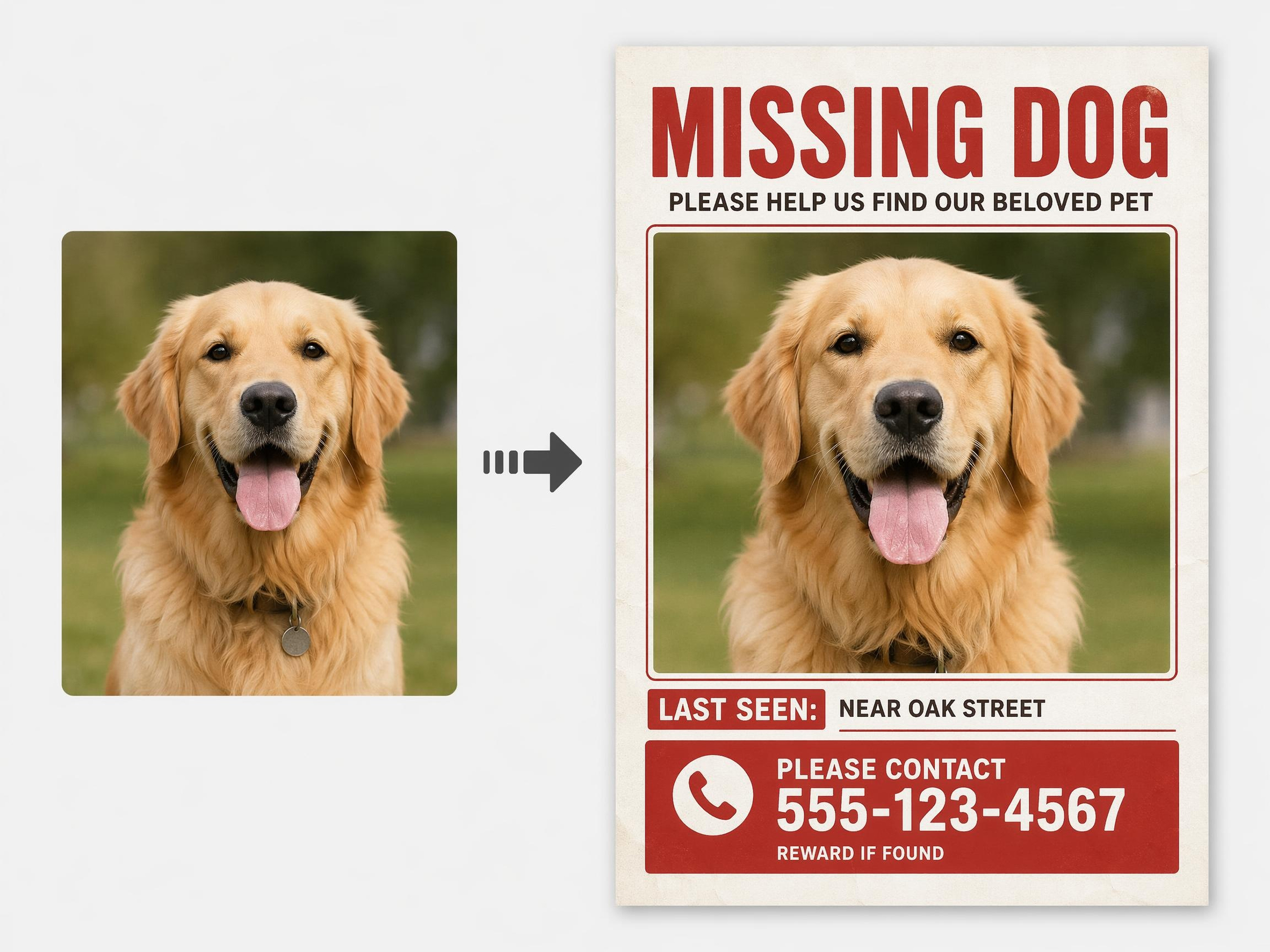 AI Prioritizes the Pet Photo Automatically