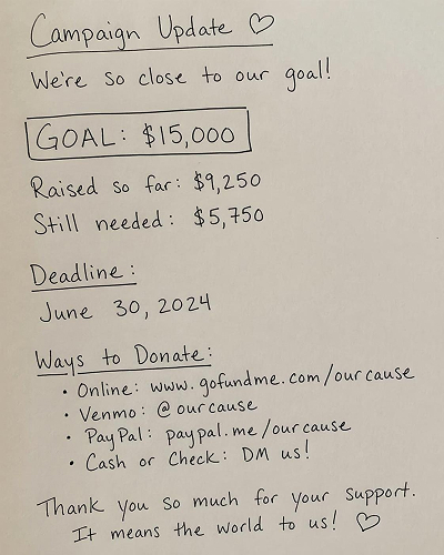 Reference image for AI fundraising poster generation