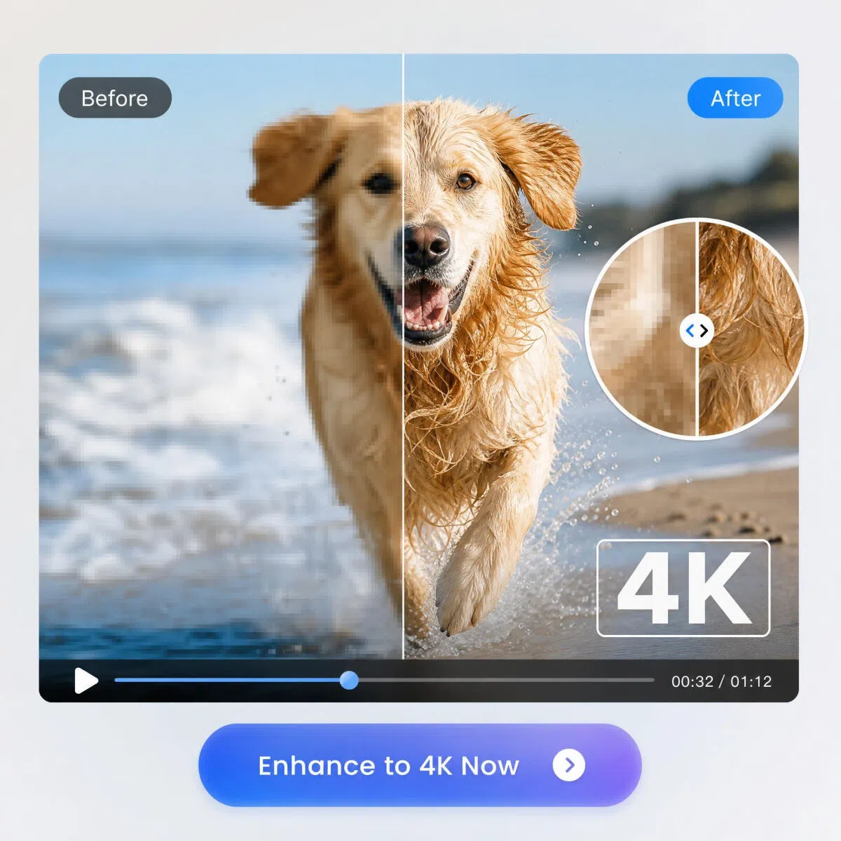 enhance pet video