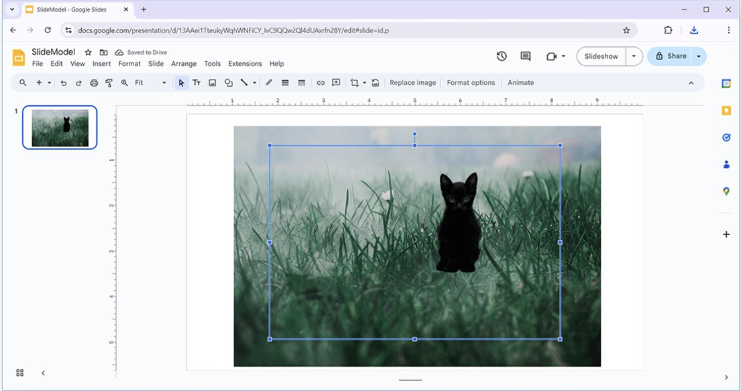 Insert the image into Google Slides