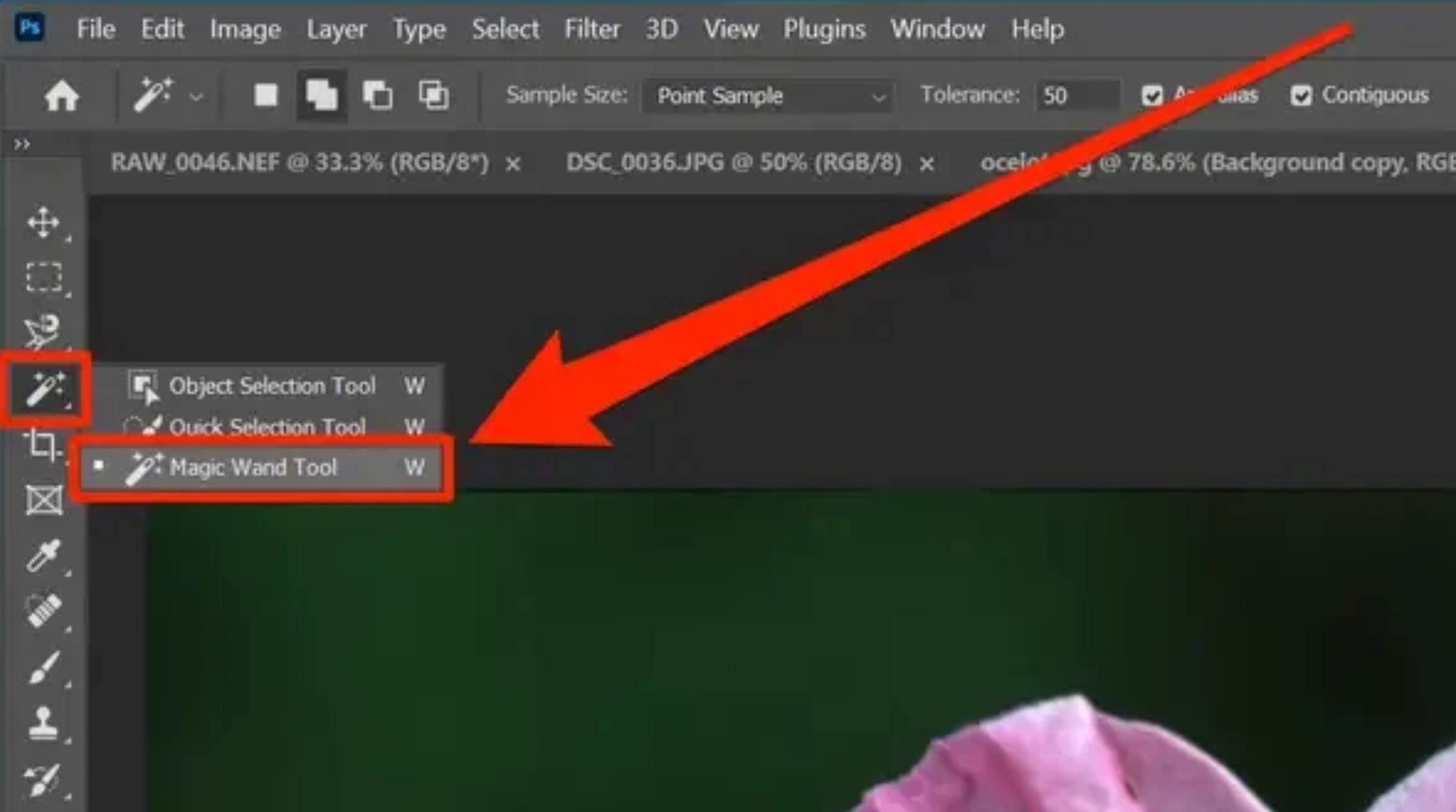 How to Remove Background in Photoshop Magic Wand Tool