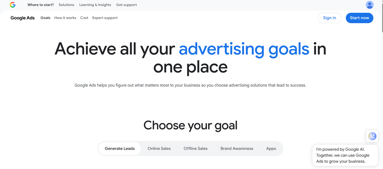 Google ads (Shopping & Search)