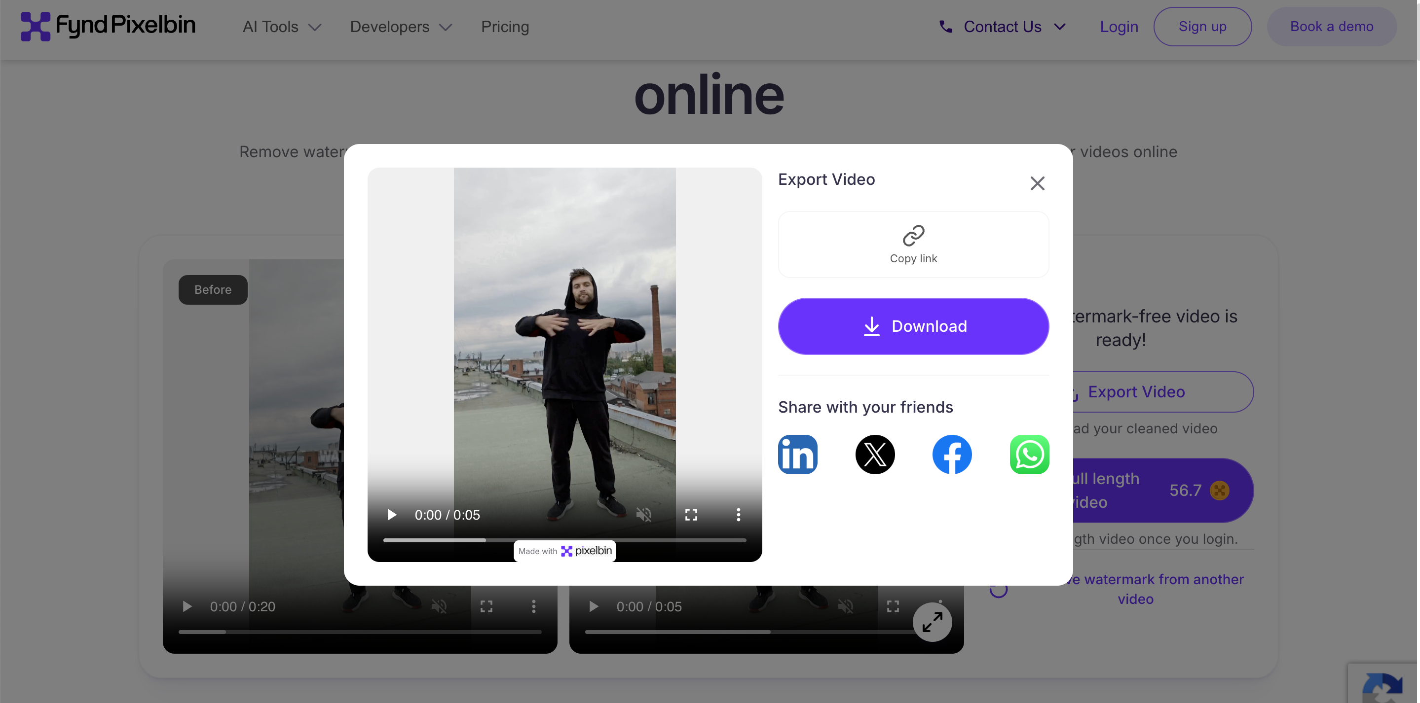 How Pixelbin Removes Watermarks From Videos Preview and Export