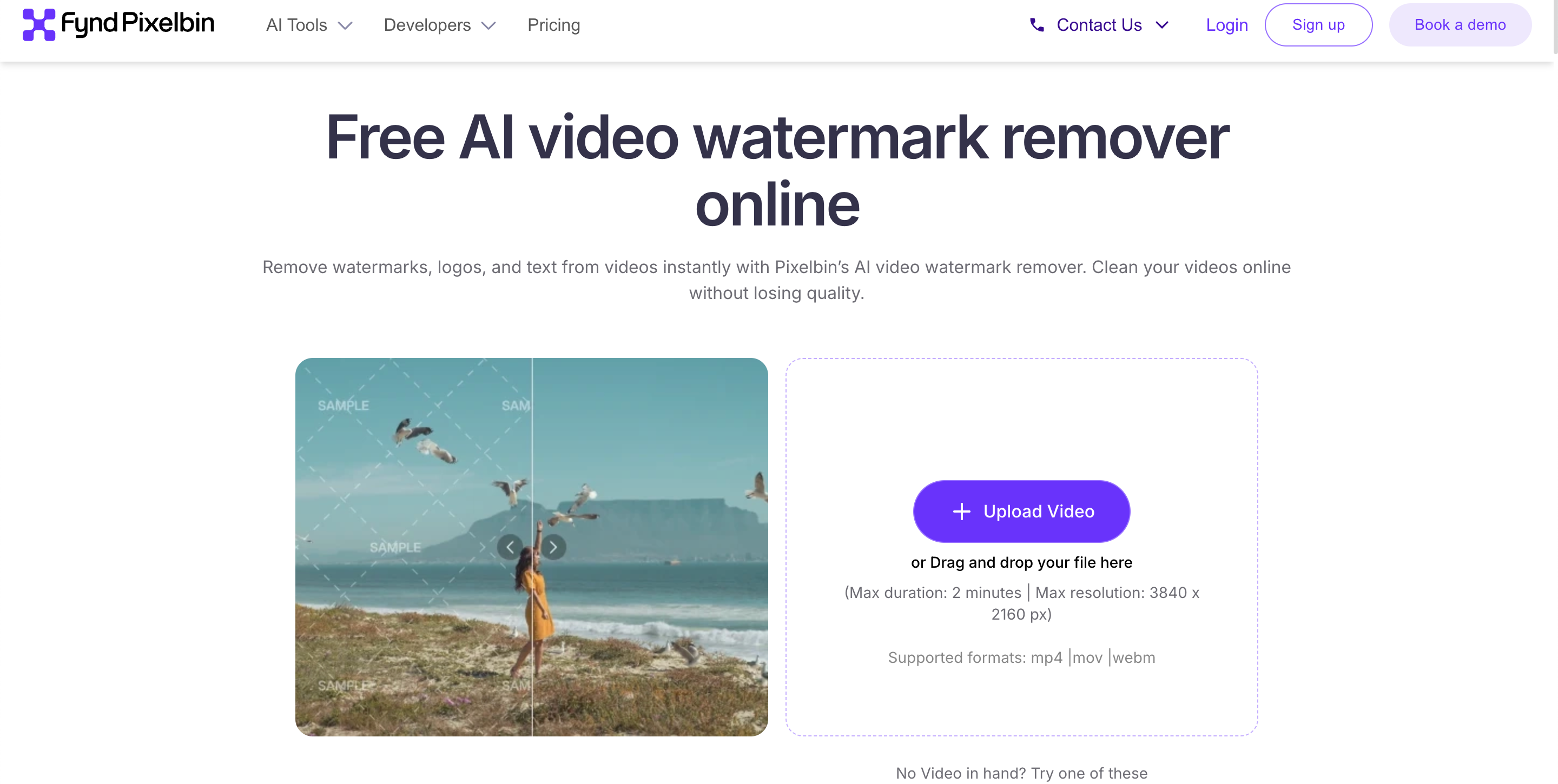 Pixelbin AI Watermark Remover Review for Videos Pixelbin AI Video Watermark Remover