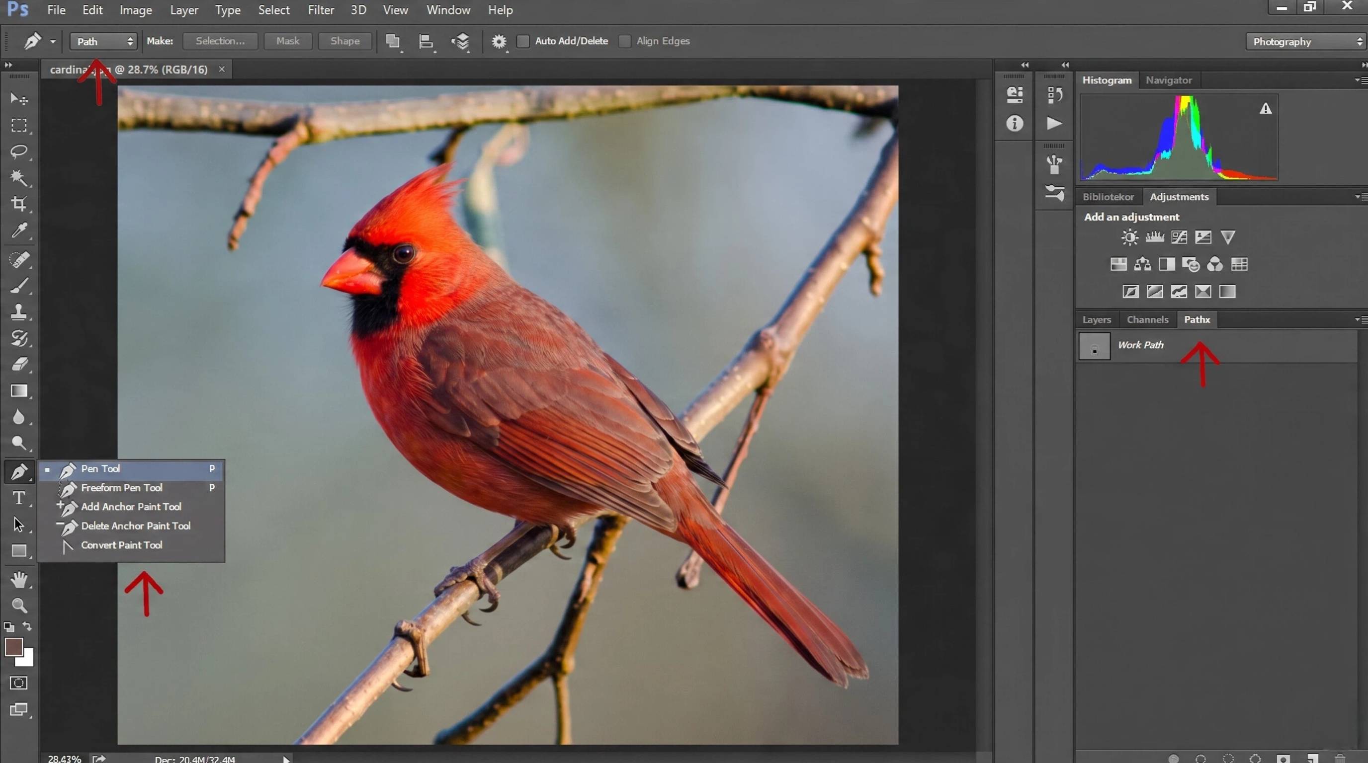 How to Remove Background in Photoshop Pen Tool