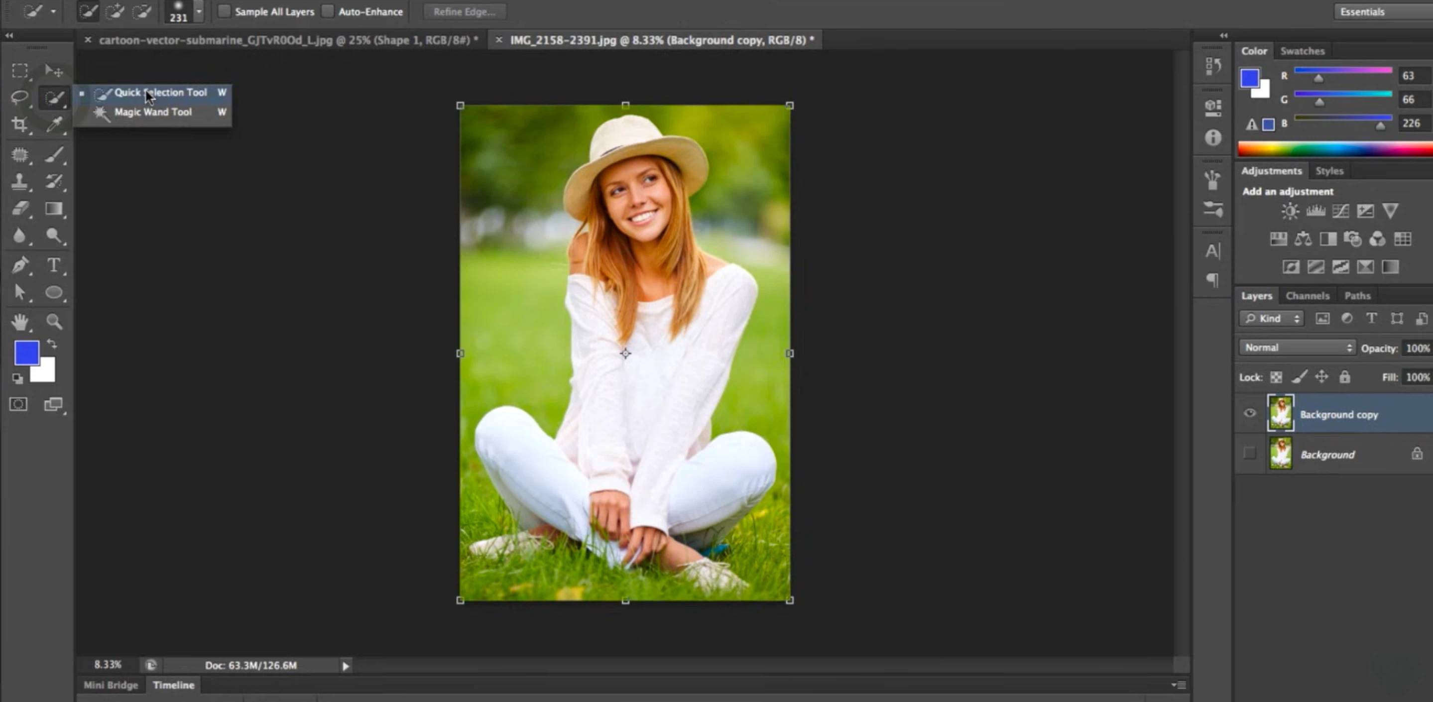 How to Remove Background in Photoshop Quick Selection Tool