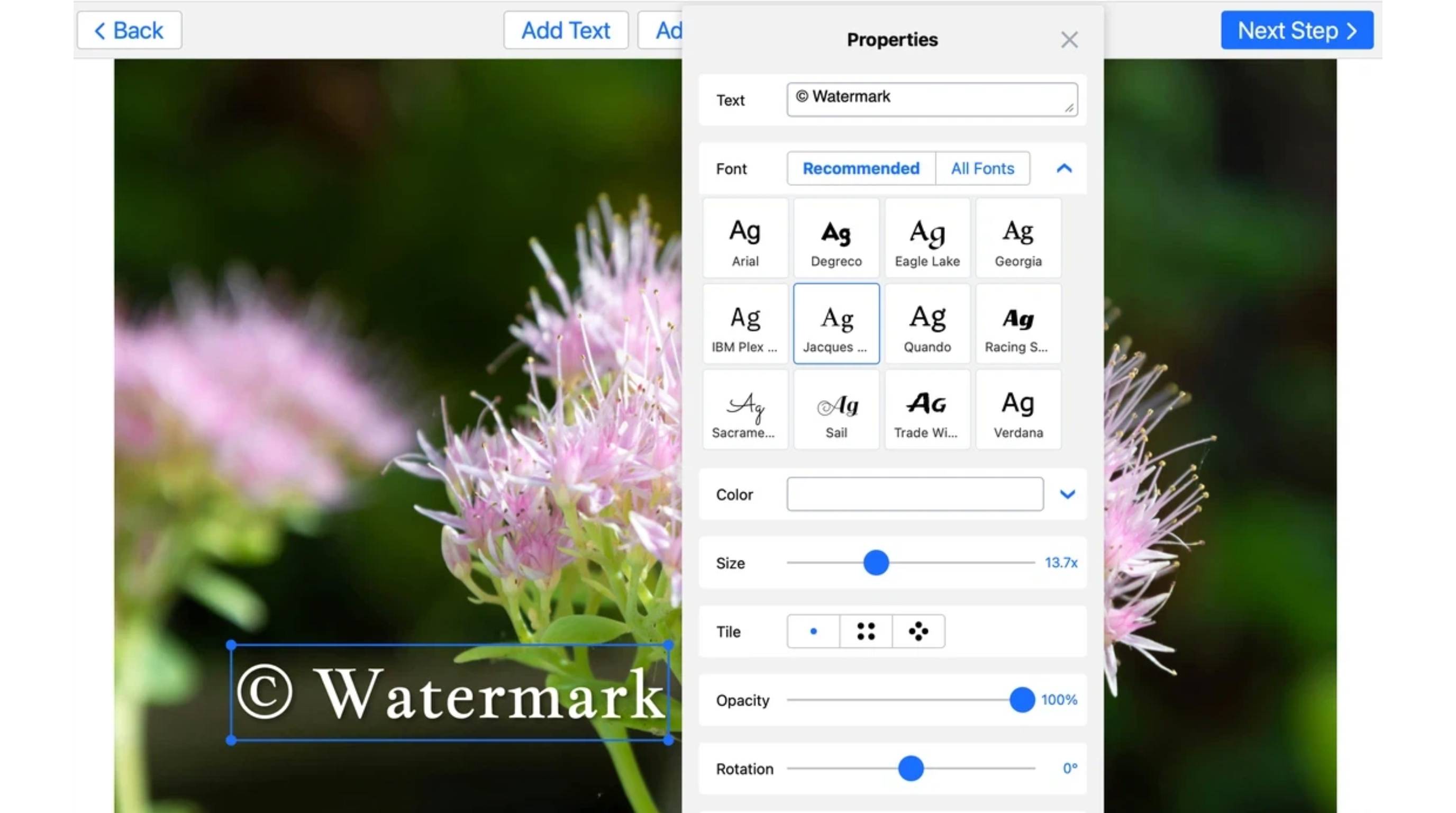 Common Ways to Add Watermarks to Photos Using Online Watermark Tools