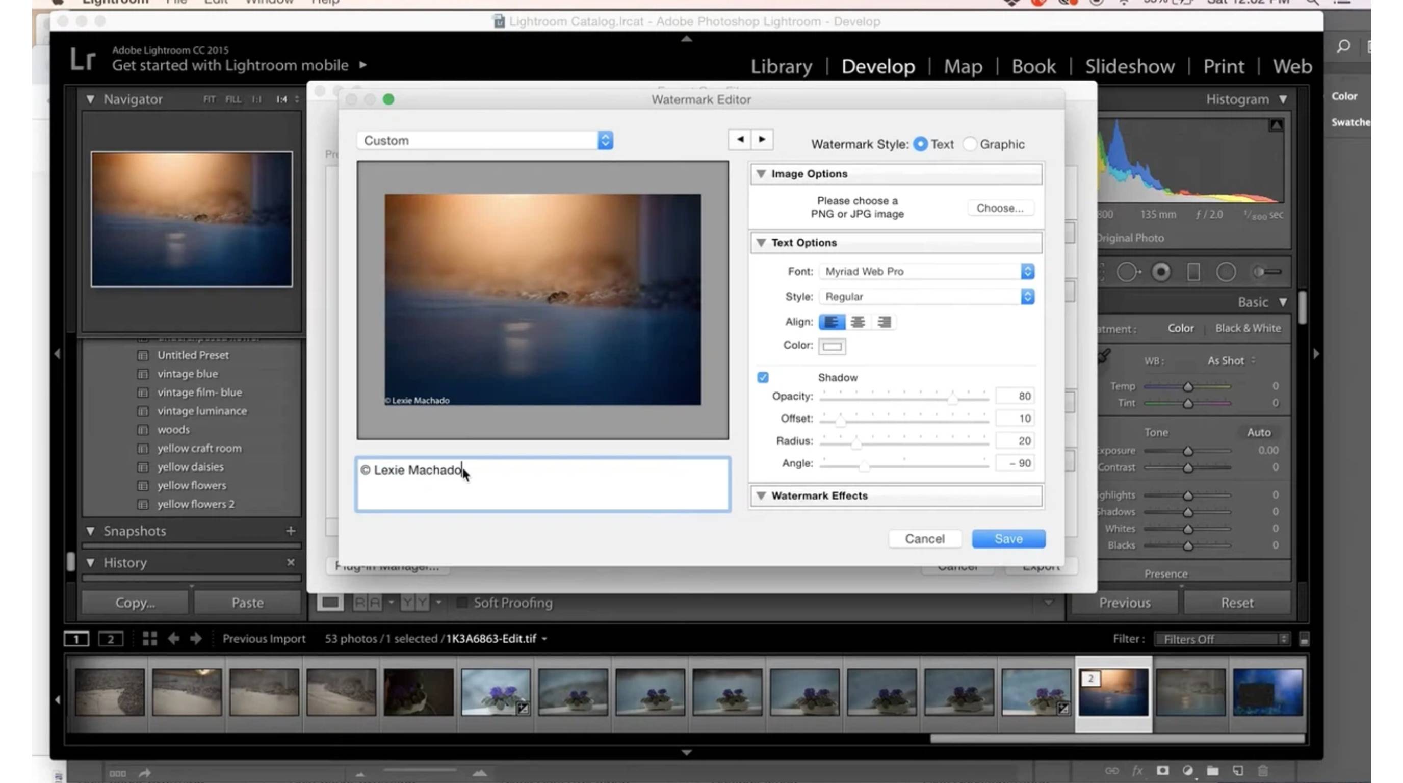 Common Ways to Add Watermarks to Photos Using Lightroom Batch Watermarking