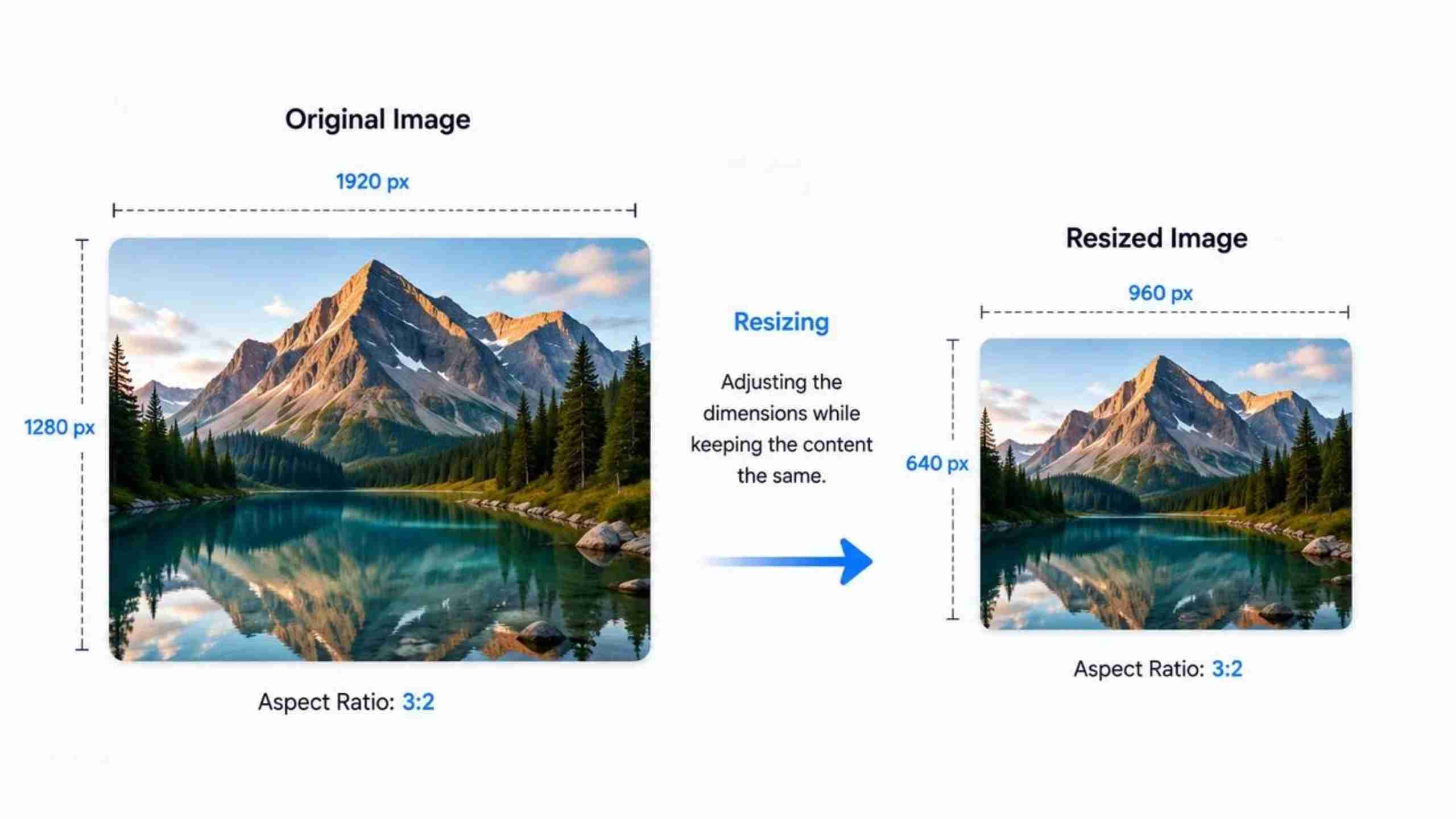 What Does It Mean to Resize an Image What Does It Mean to Resize an Image