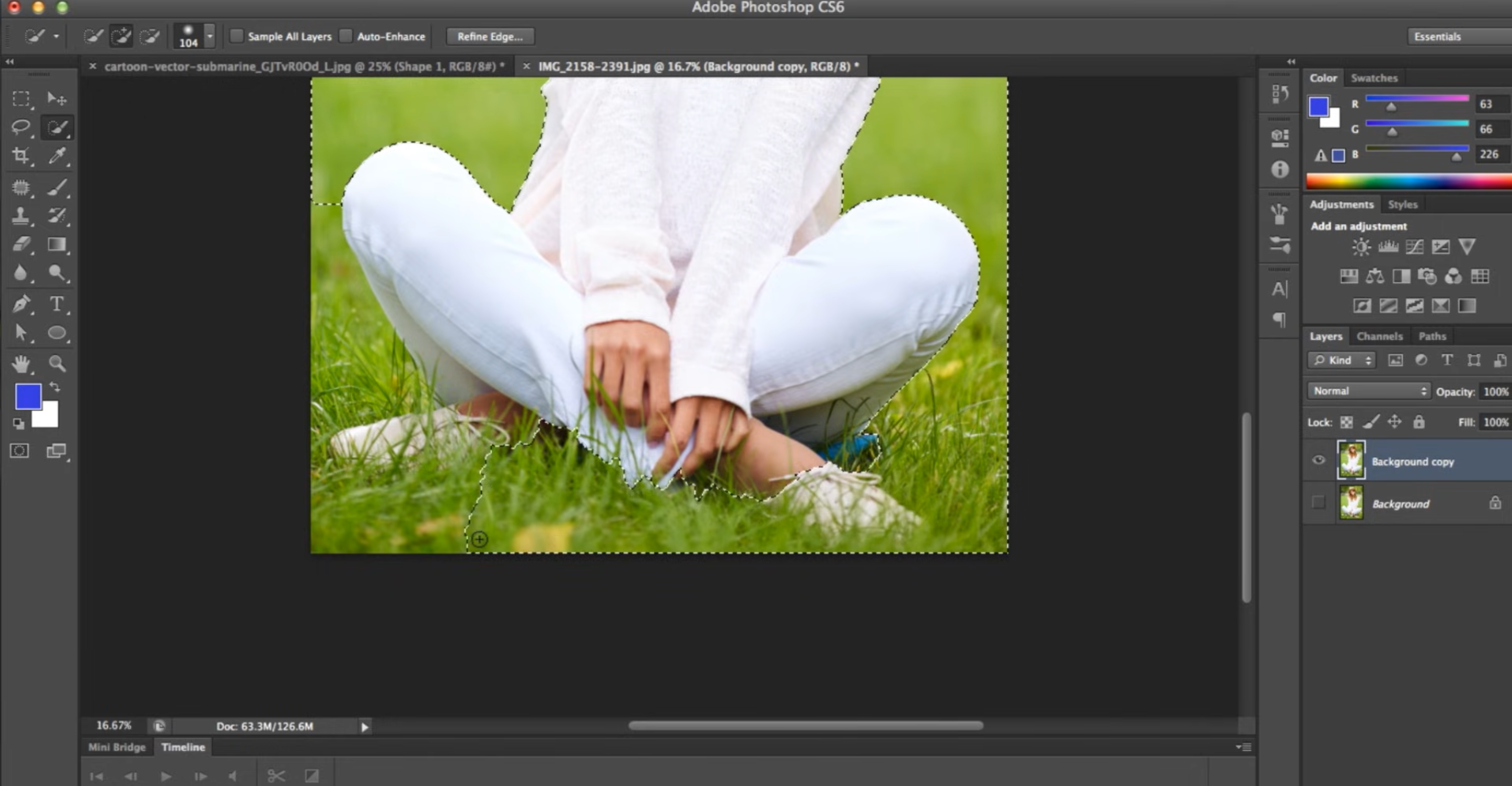 How to Remove Background in Photoshop Step by Step Refine the Edges