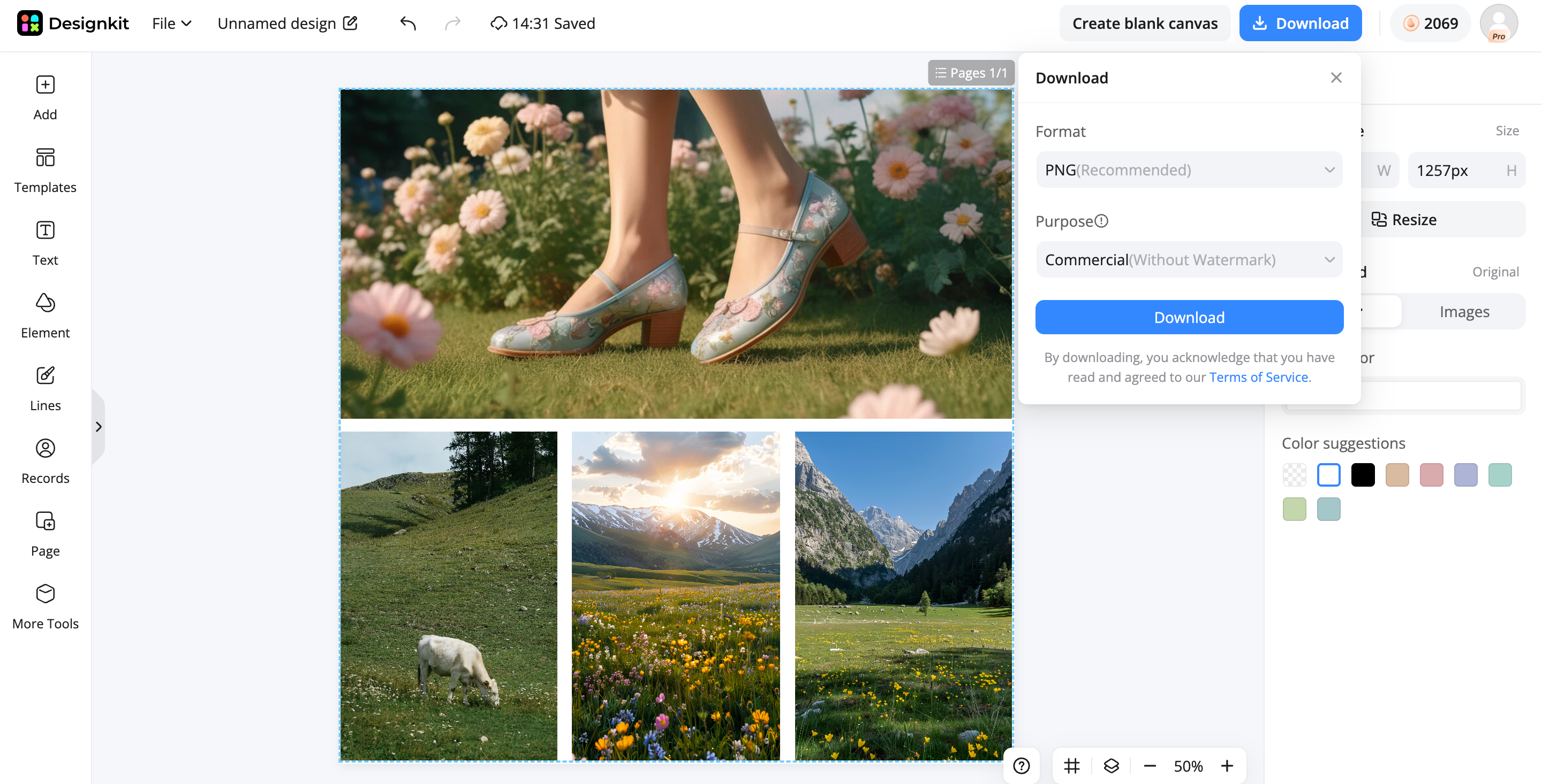 Preview, refine, and download