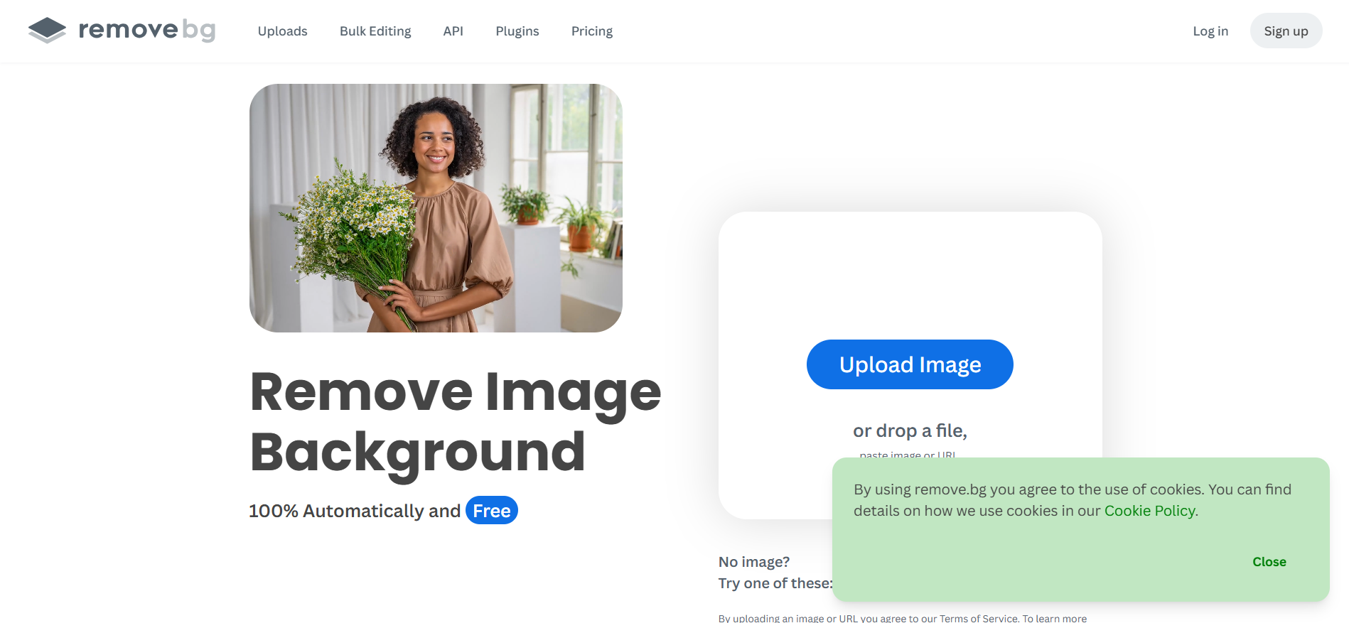 Best Image Background Remover Tools in 2026 remove.bg