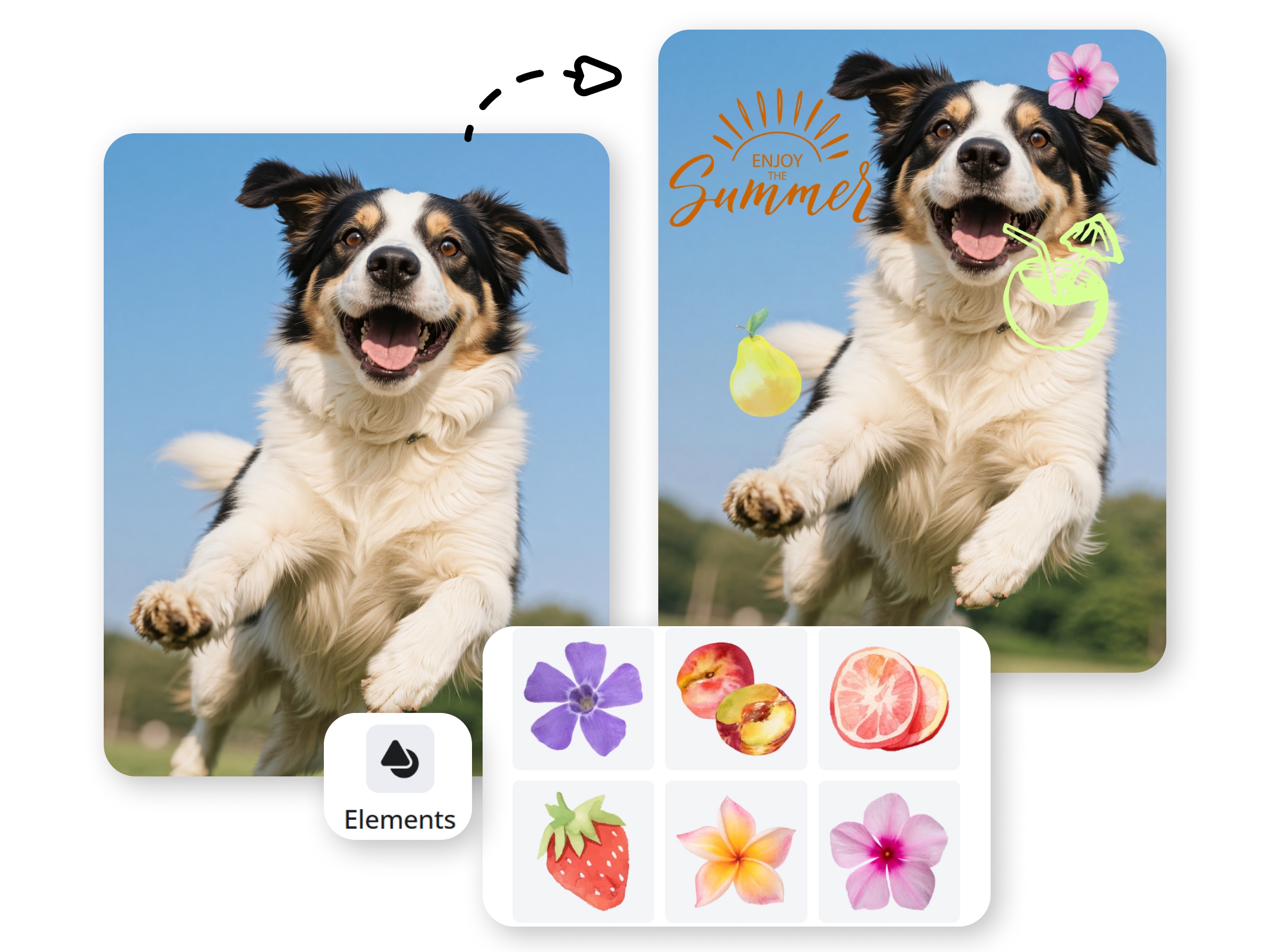 All-in-One Editing Studio