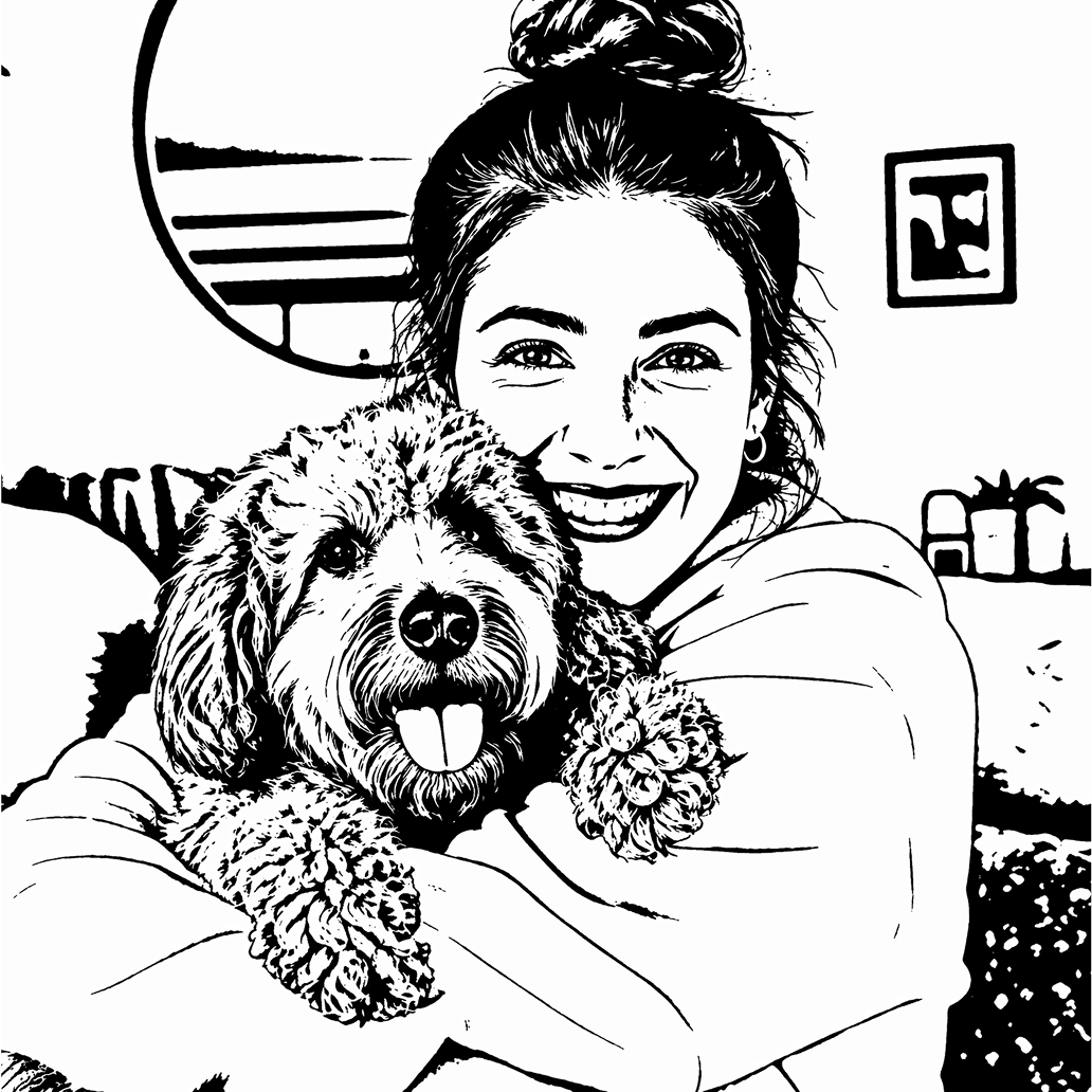 Turn the photo into stencil art
