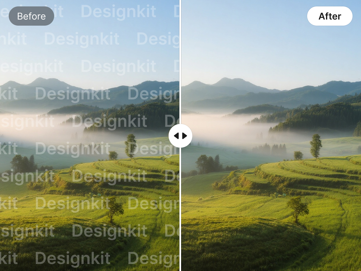 Remove Watermarks Automatically