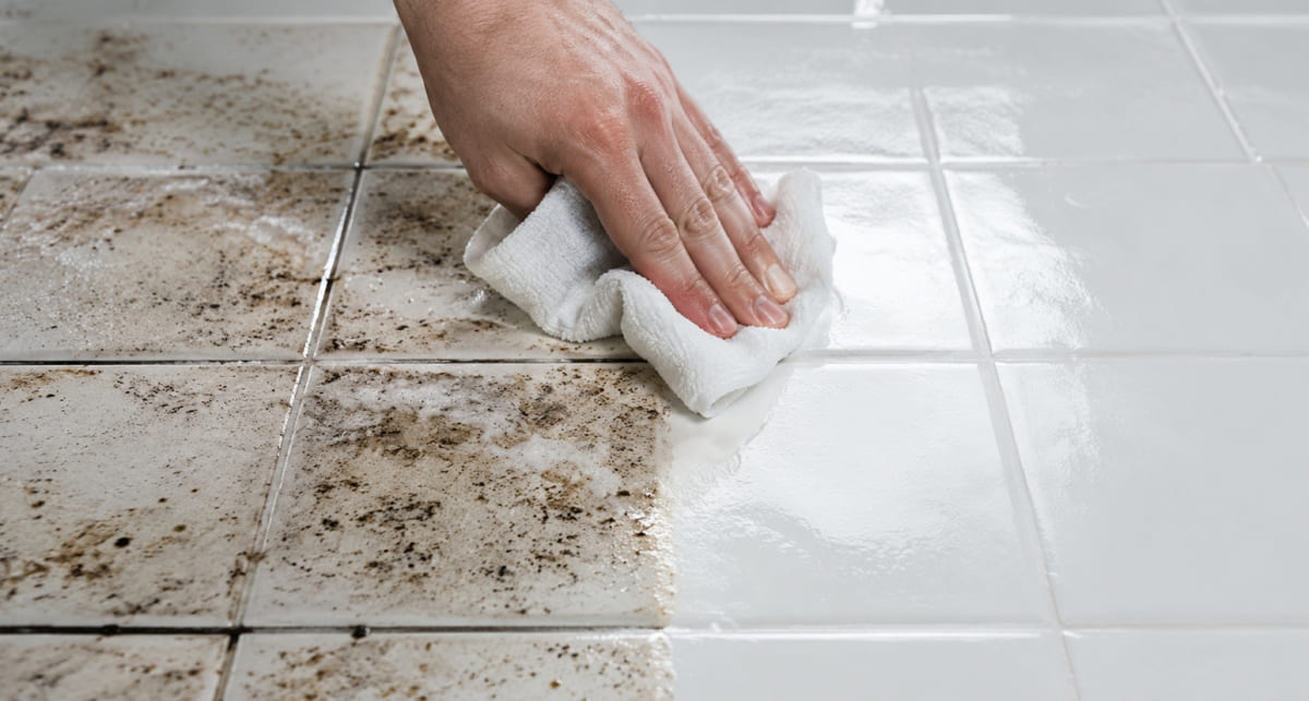 cleaning satisfying videos cleaning satisfying videos