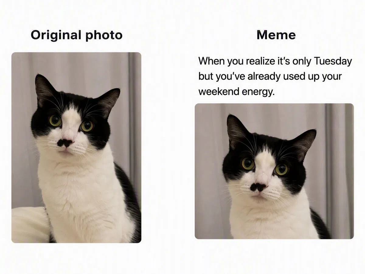 Use Your Own Photo as the Setup