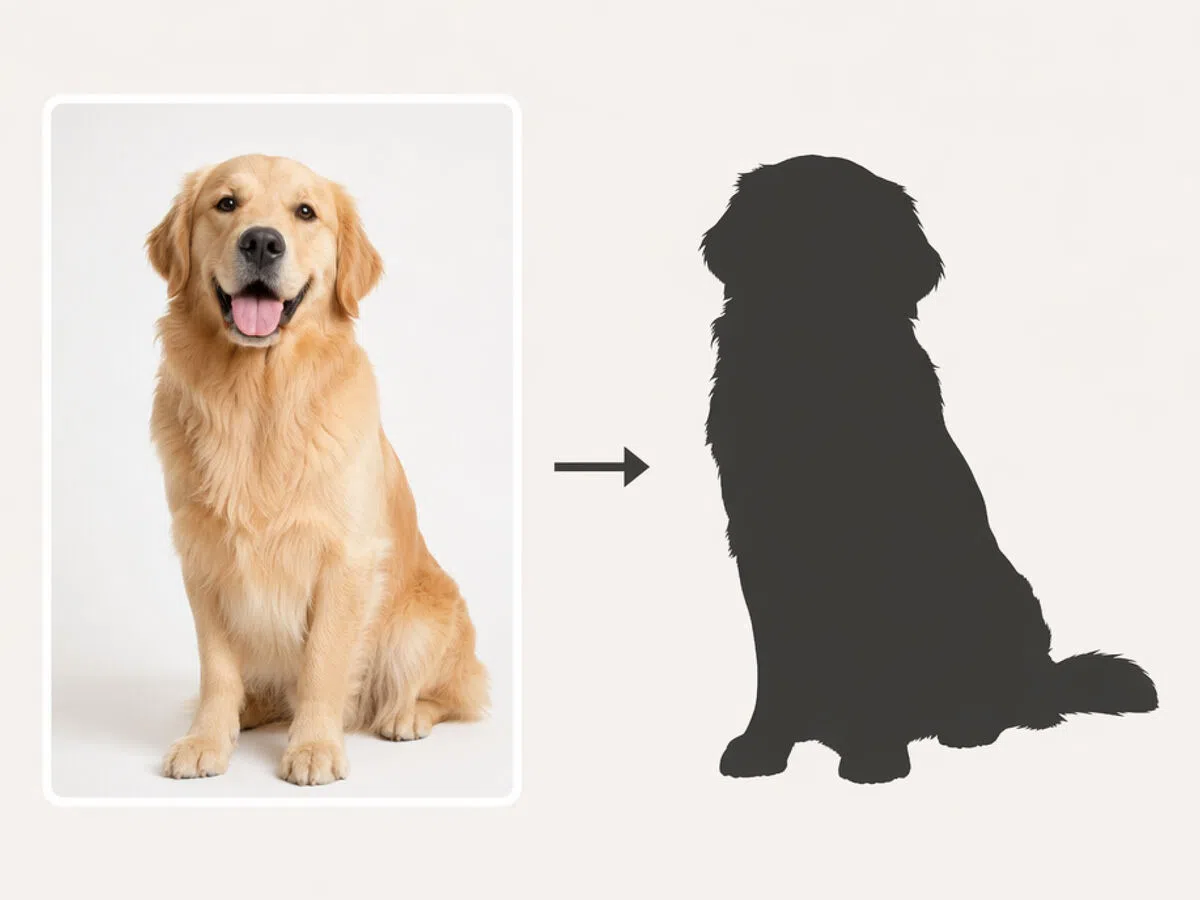 Convert Photos Into Clean Outline Shapes