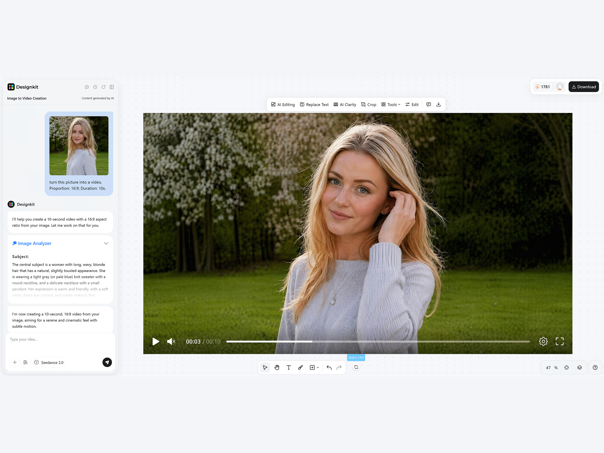 Preview and Export