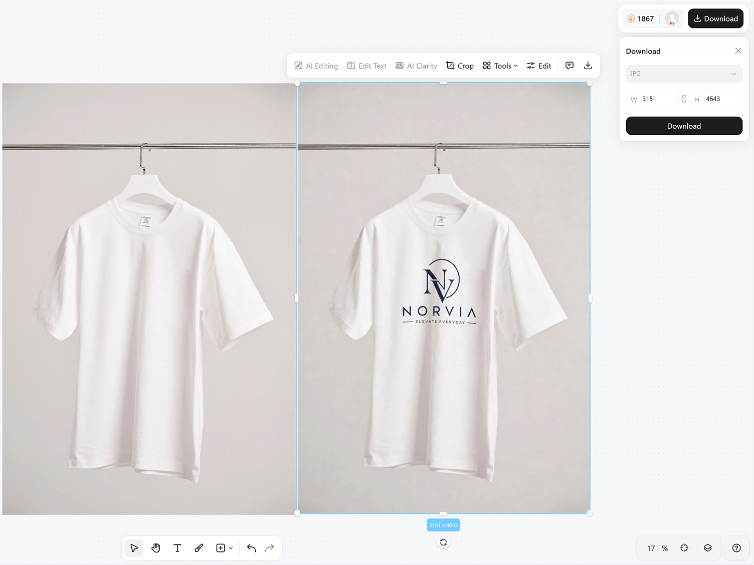 Preview and Download