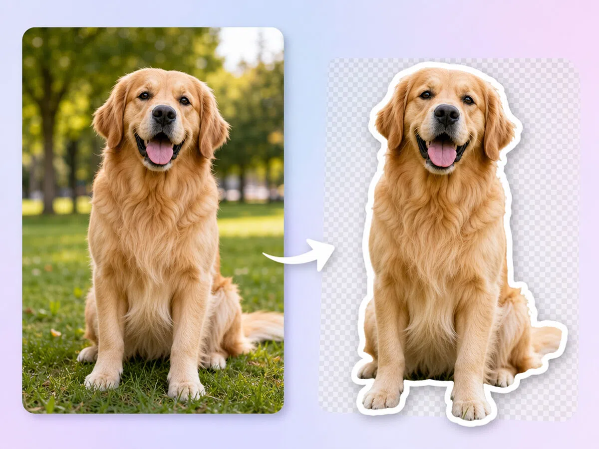 Turn Any Image into a Sticker