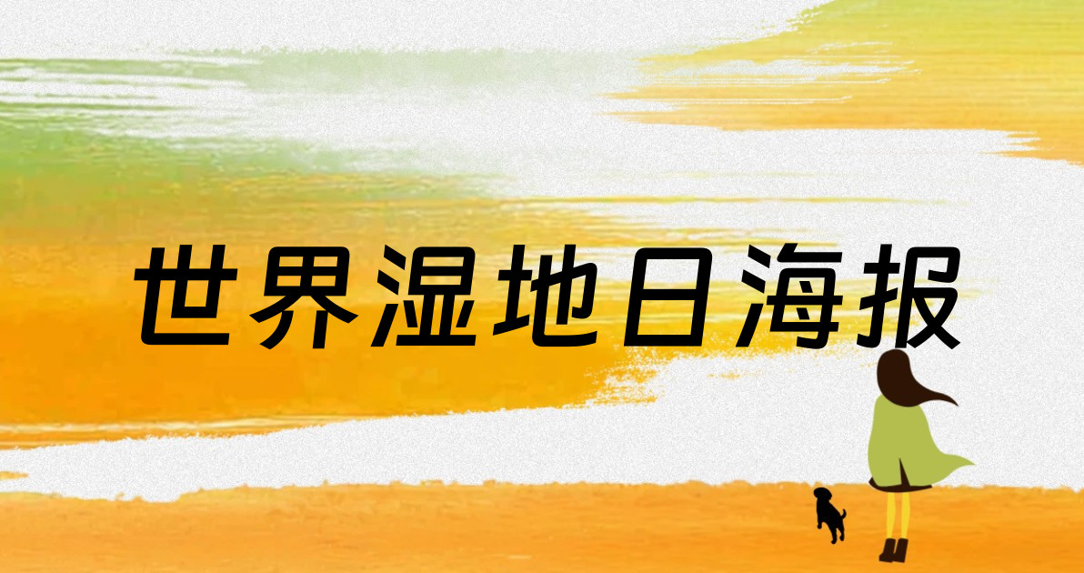 世界湿地日海报