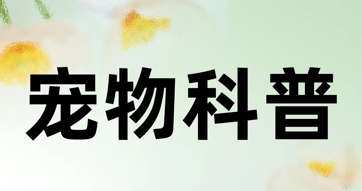 宠物科普