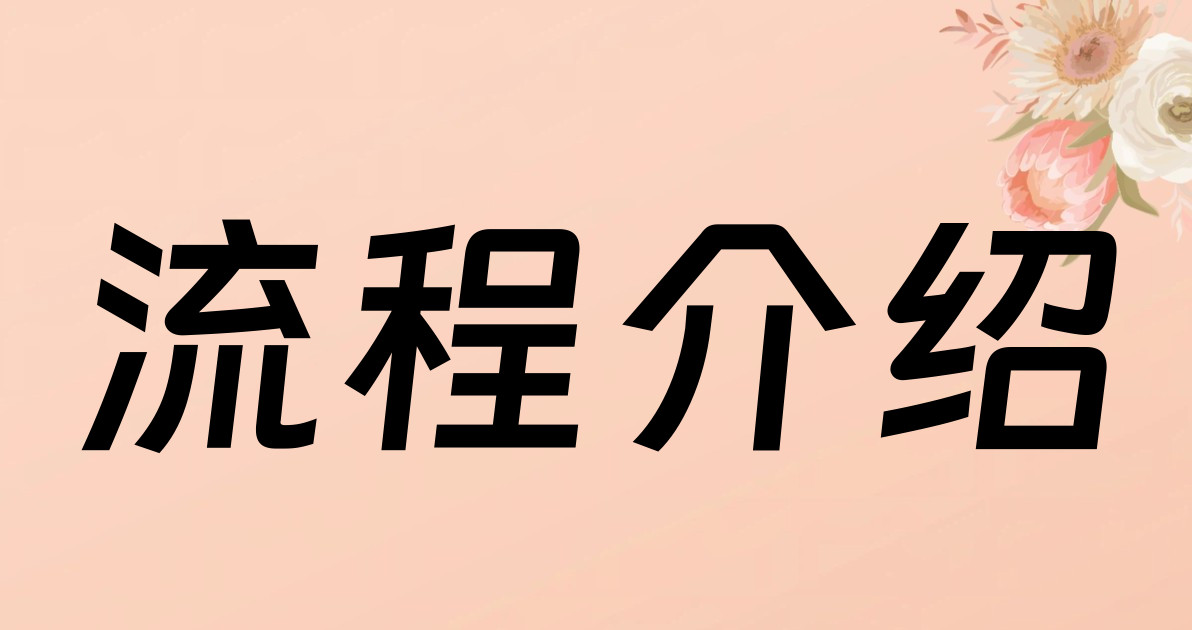流程介绍