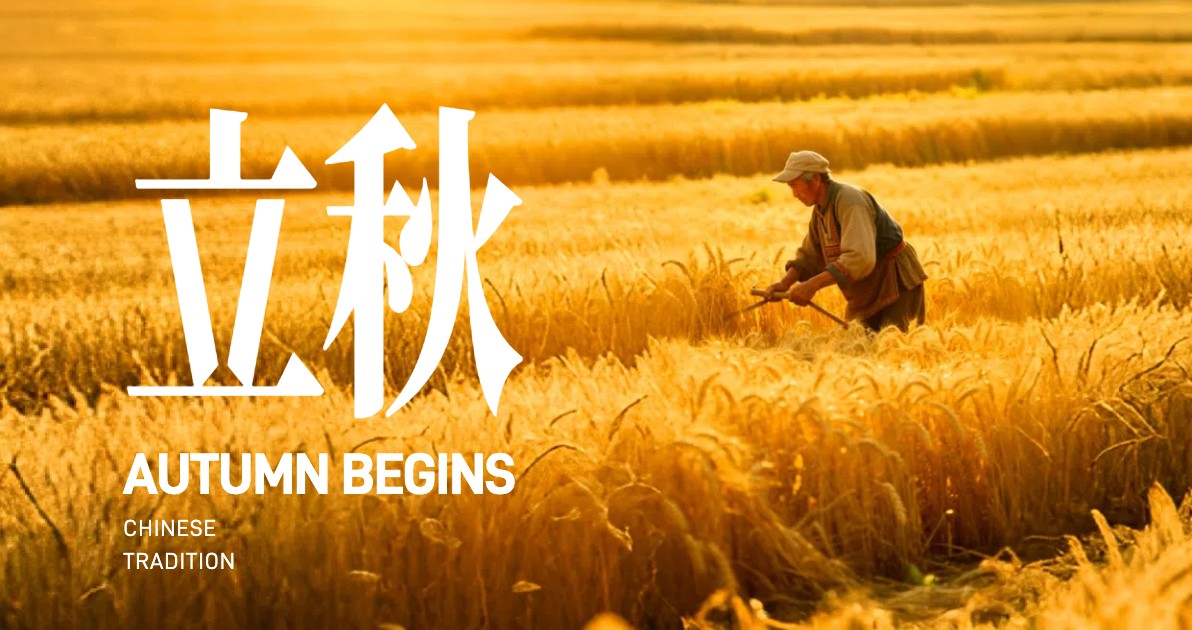 立秋创意视觉设计