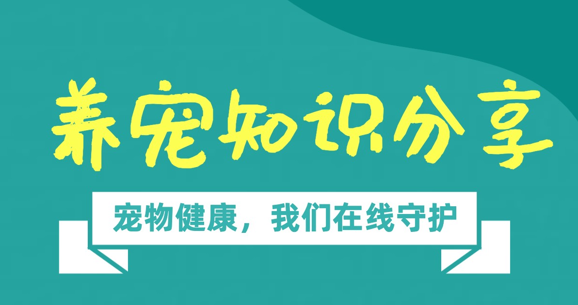 宠物知识海报