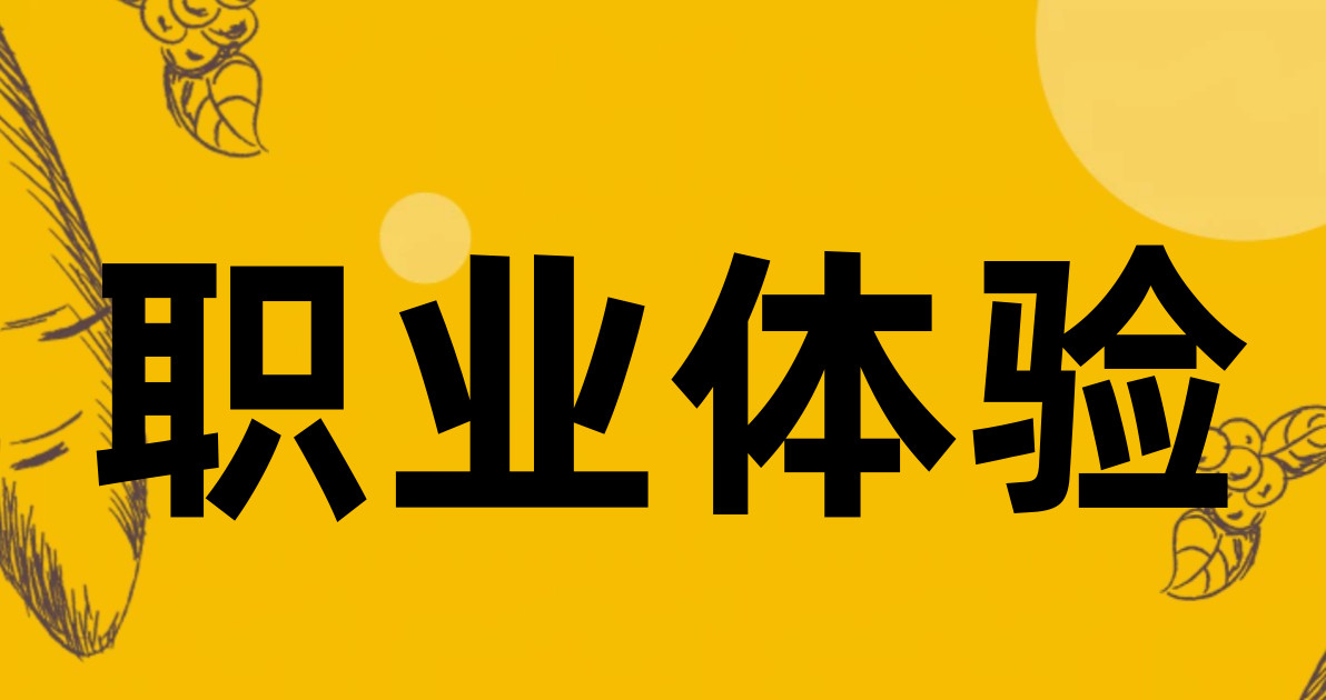 职业体验