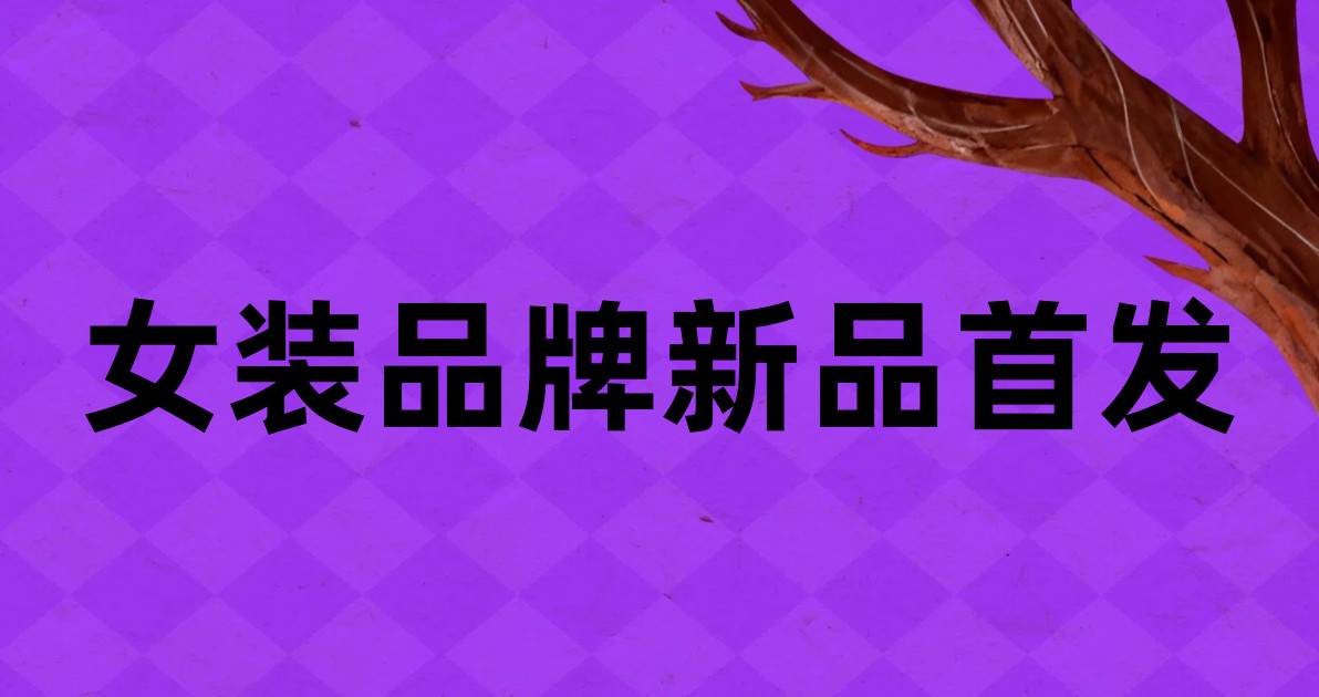女装品牌新品首发