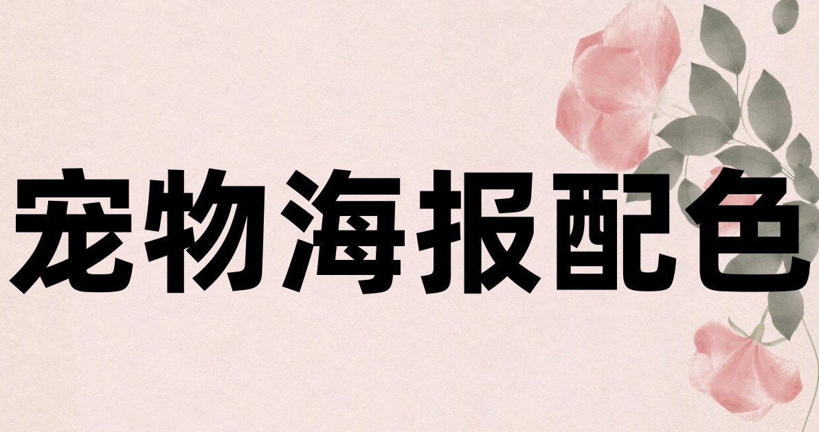宠物海报配色