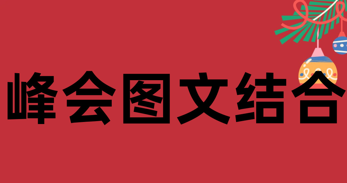 峰会图文结合