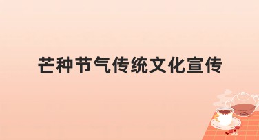 芒种节气传统文化宣传创意设计模板推荐
